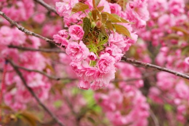 温州瑞安9线下个人借款平台一站式服务，轻松解决资金难题