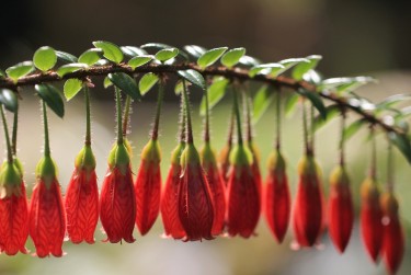 温州瑞安9零用贷短借：轻松解决临时资金需求