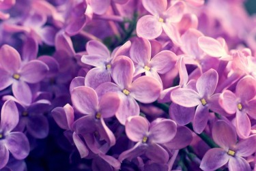 温州瑞安9企业急用钱贷款攻略：快速融资解燃眉之急